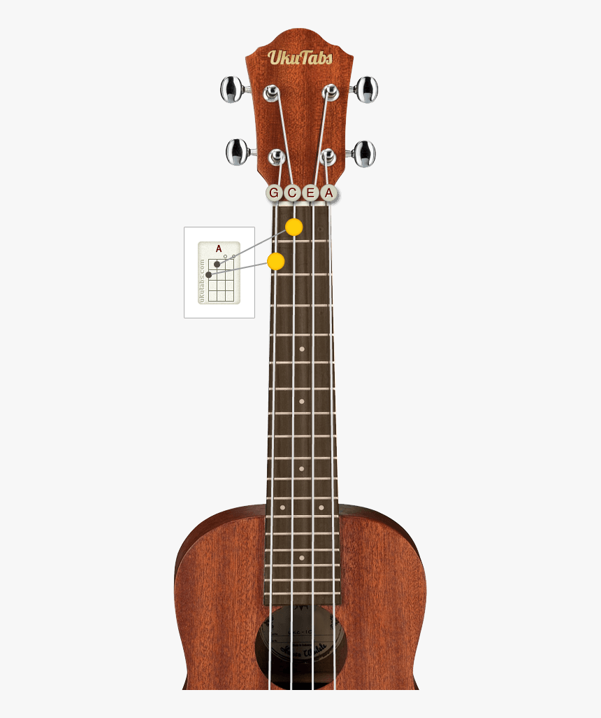 Ukulele, HD Png Download, Free Download