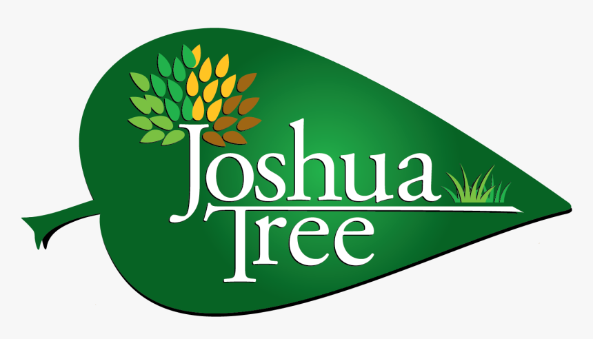 Joshua Tree, HD Png Download, Free Download