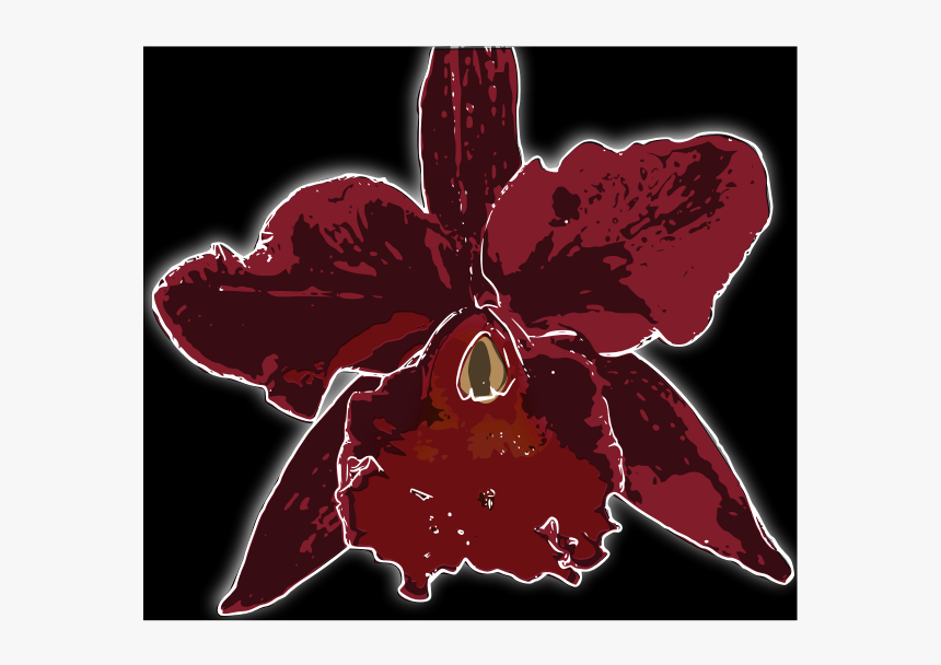 Orquã­dea - Cattleya, HD Png Download, Free Download