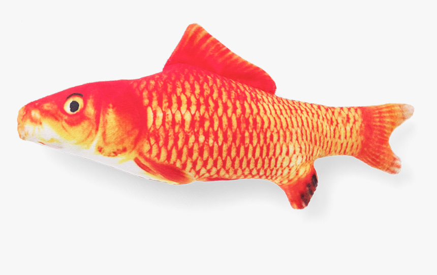 Goldfish, HD Png Download, Free Download