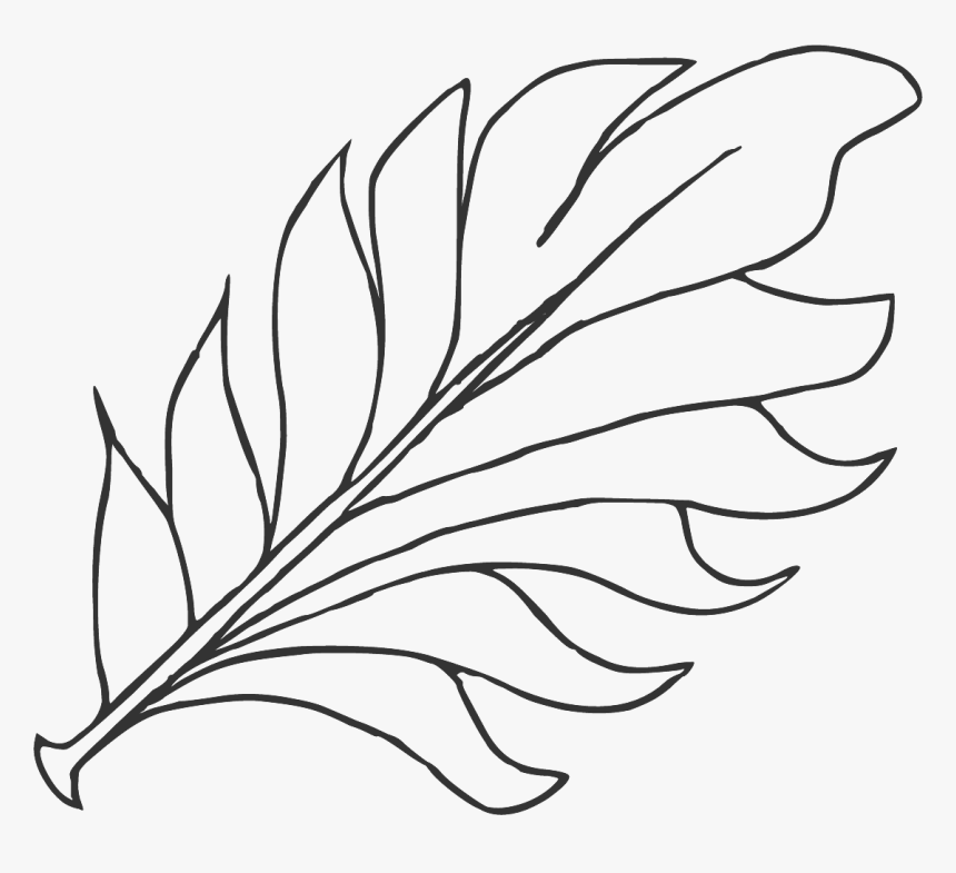 Leaf Line Art - Line Art, HD Png Download, Free Download