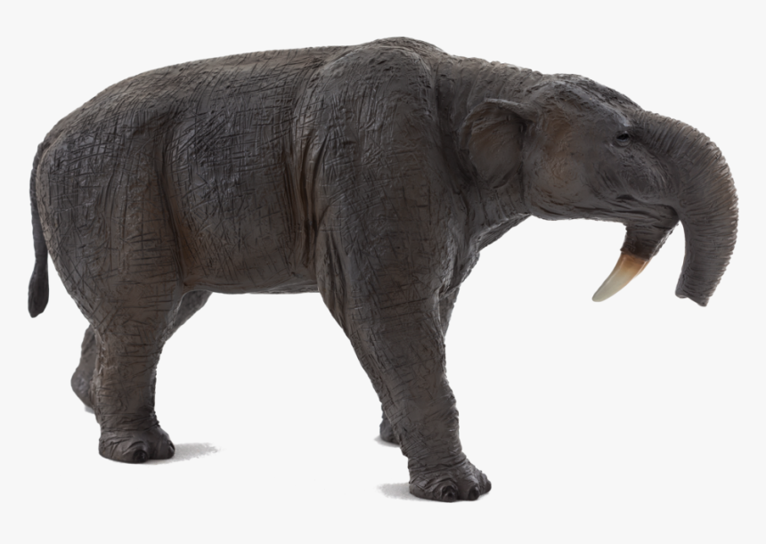 387154 Deinotherium, HD Png Download, Free Download