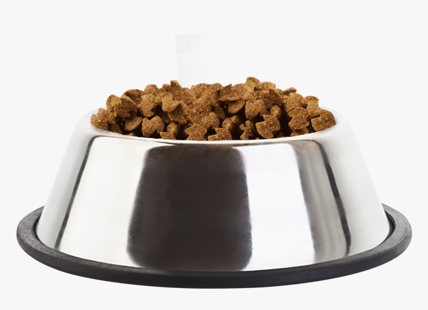 Comida Para Perros Png - Dog Bowl Png, Transparent Png, Free Download