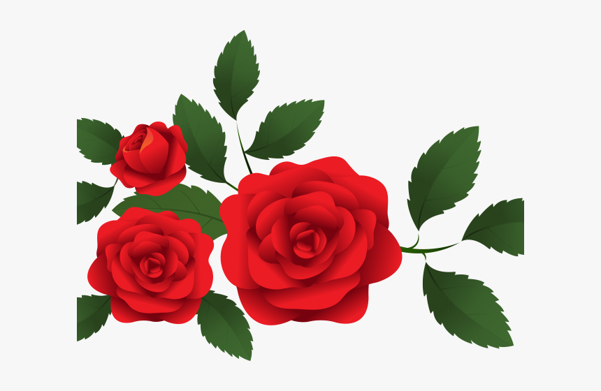 Rose Clipart Png, Transparent Png, Free Download