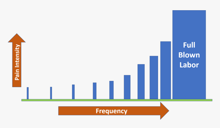 Labor Pains Intensity Frequency - Symbols Of Life, HD Png Download, Free Download