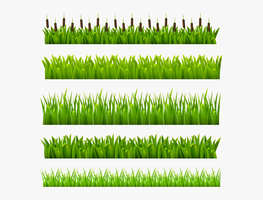 Флора, Зеленая Трава, Green Grass, Grünes Gras, Flore, - Green Border, HD Png Download, Free Download