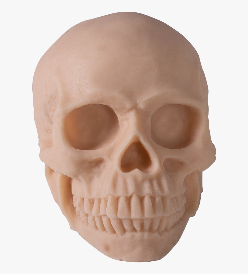 Skull, HD Png Download, Free Download