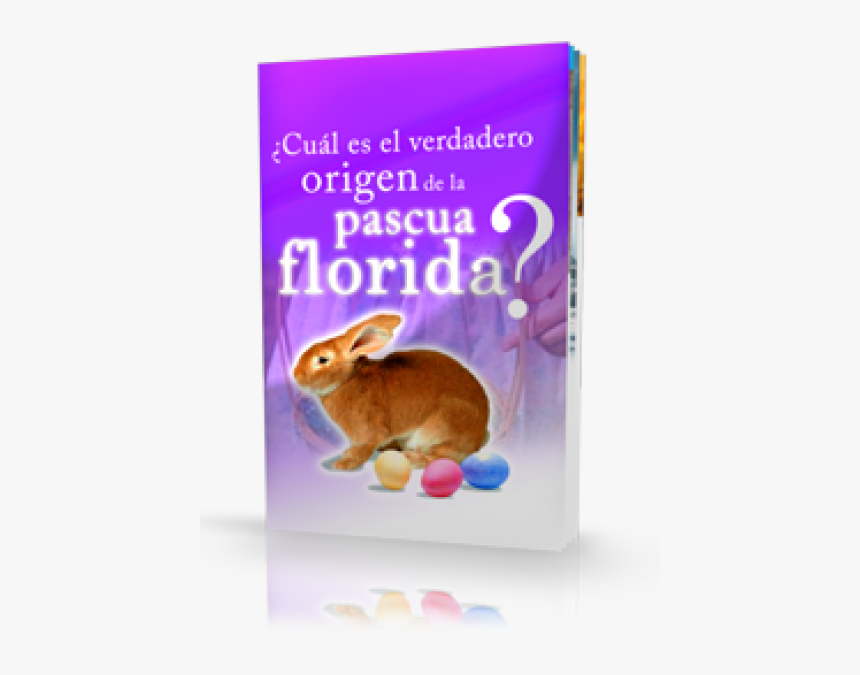 ¿cuál Es El Verdadero Origen De La Pascua Florida - Domestic Rabbit, HD Png Download, Free Download