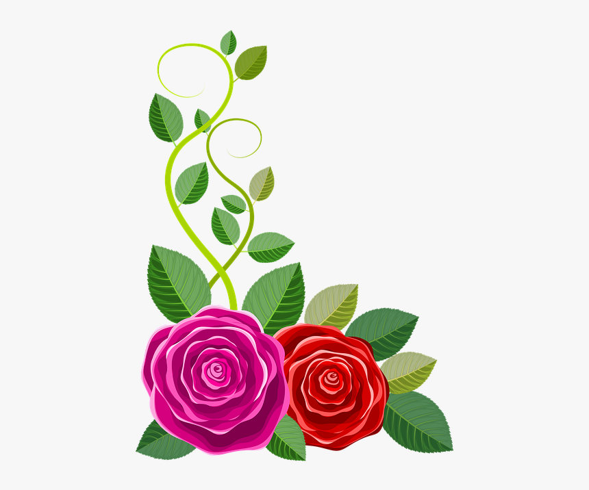 Floribunda, HD Png Download - kindpng