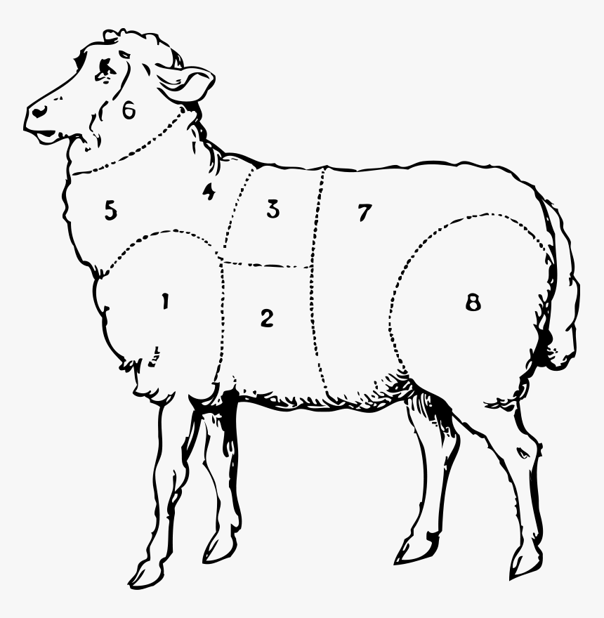 Transparent Farmer Clipart Black And White - Old Sheep Clipart Black And White, HD Png Download, Free Download