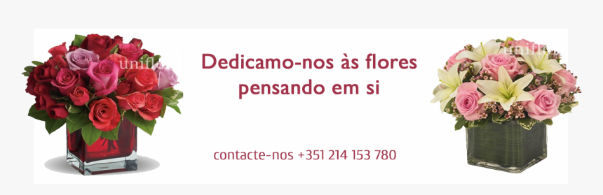 Dedicamo-nos Às Flores - Love Flower Red, HD Png Download, Free Download