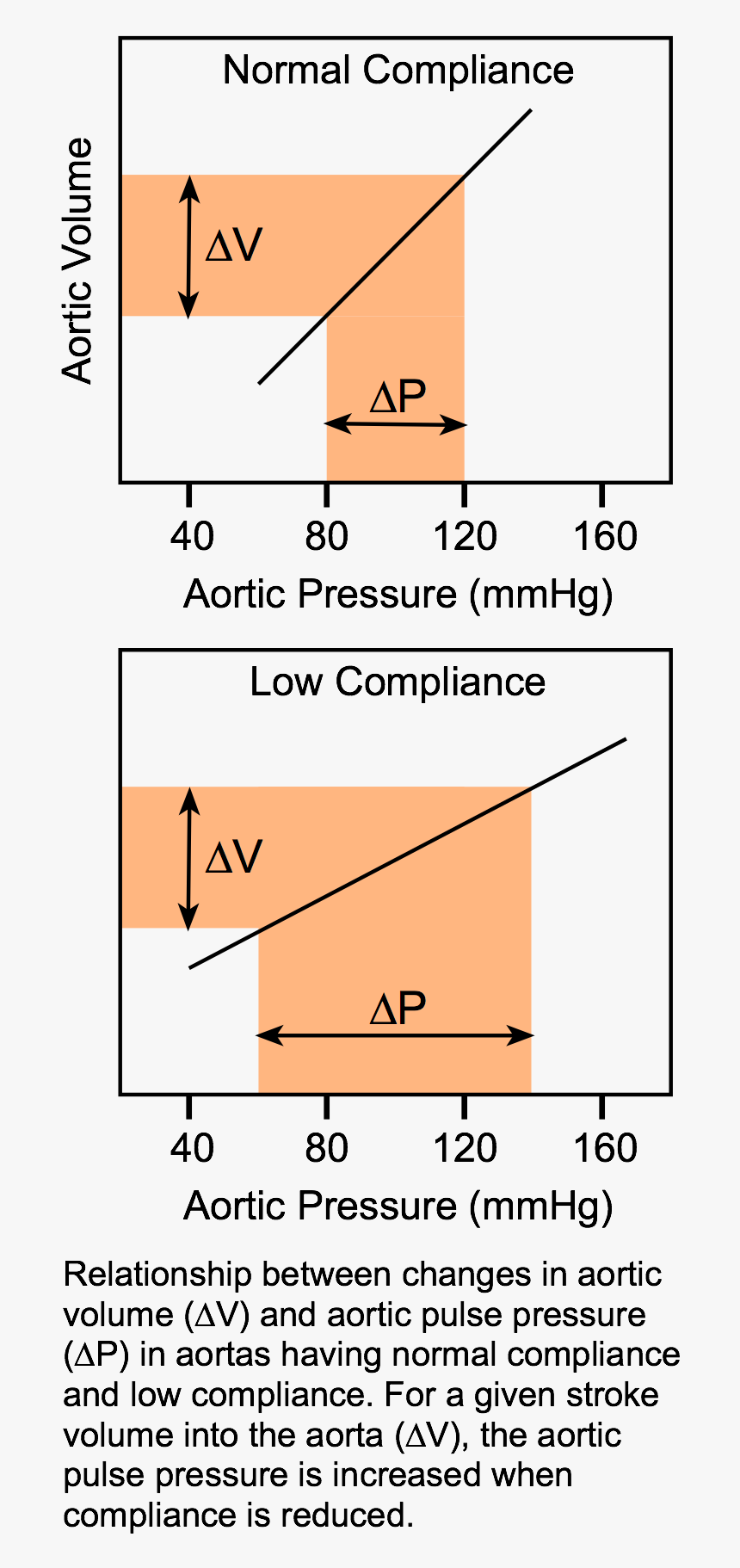 Arterial Compliance And Pulse Pressure, HD Png Download, Free Download