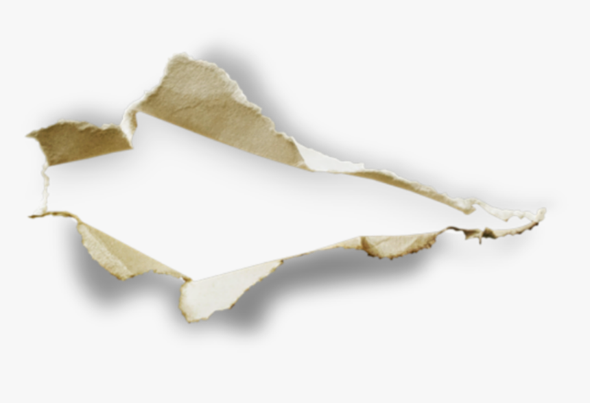 paper hole tearing tear burst punch rip rippleeffect paper tear png picsart transparent png kindpng paper tear png picsart transparent png