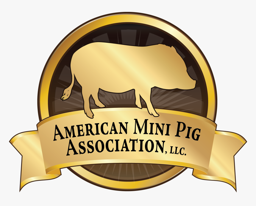 American Mini Pig Association, HD Png Download, Free Download