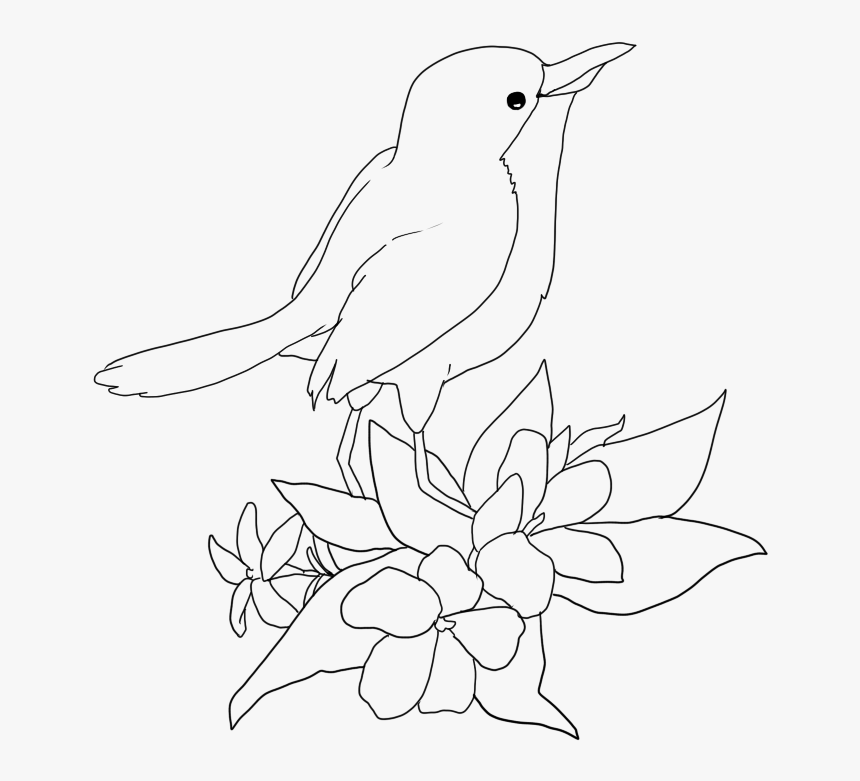 Bird - Sketch, HD Png Download, Free Download