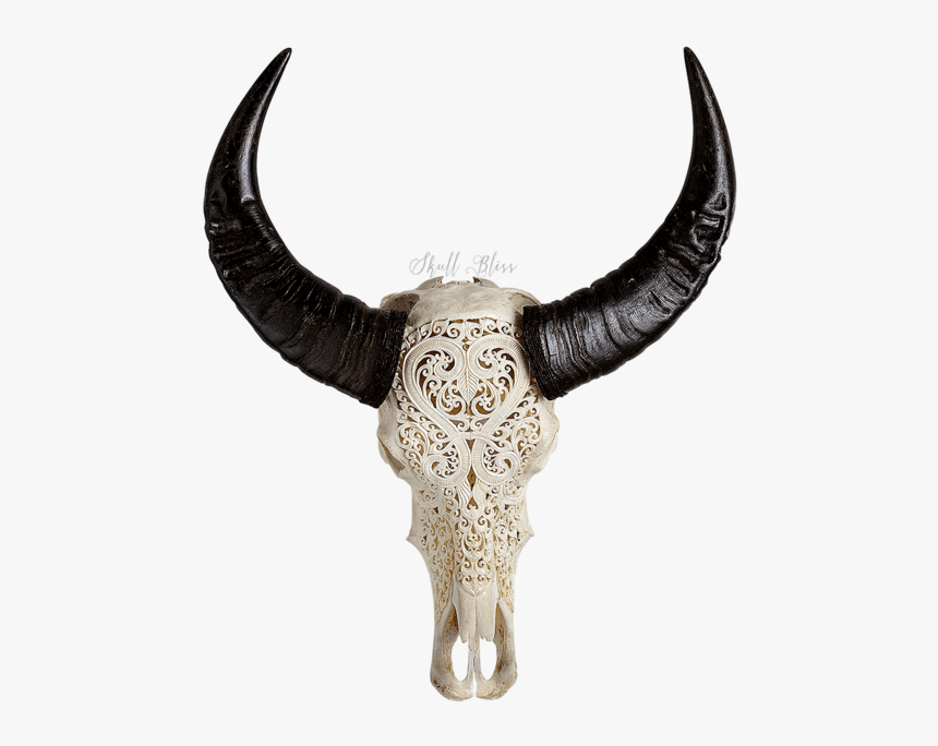 Carved Buffalo Skull - Bull, HD Png Download, Free Download