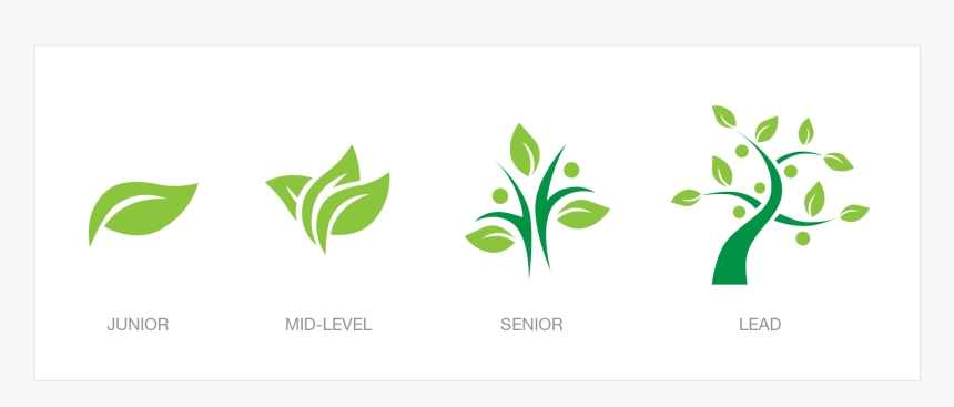 Career Path Icons - Tree, HD Png Download, Free Download