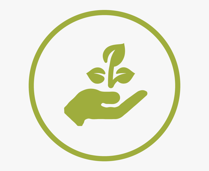 Plant Icon Png, Transparent Png, Free Download