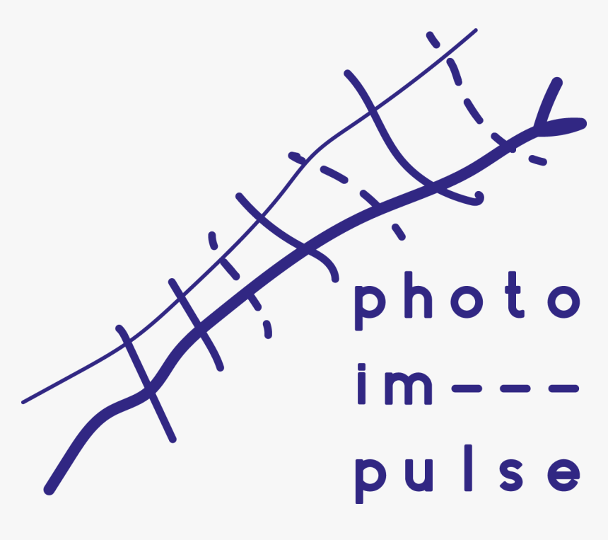 Photo Impulse Logo - Plot, HD Png Download, Free Download