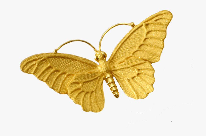 Butterfly Gold Png, Transparent Png, Free Download