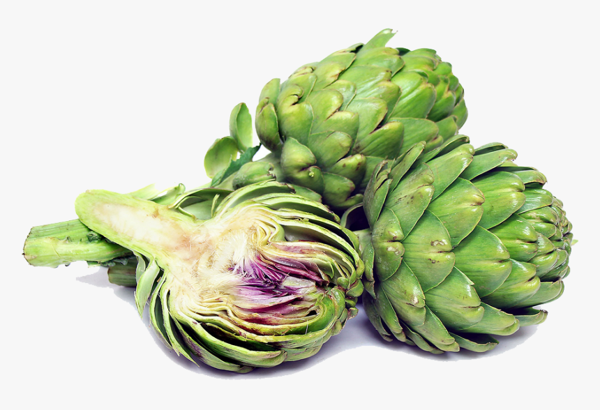 Artichokes Png Transparent Image - Artichoke Is Vegetable Or Fruit, Png Download, Free Download