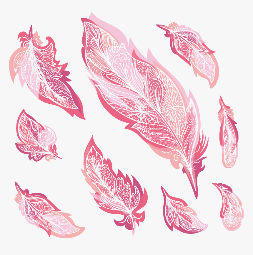 Plumes Roses, HD Png Download, Free Download