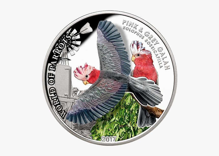 World Of Parrots Coins, HD Png Download, Free Download