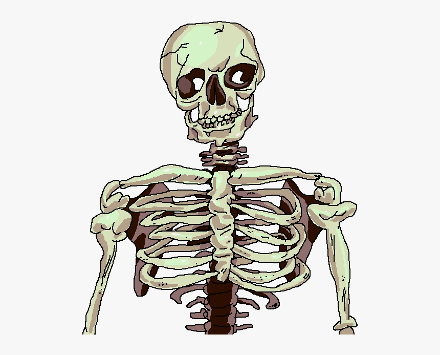 0 Full - Skeleton, HD Png Download, Free Download