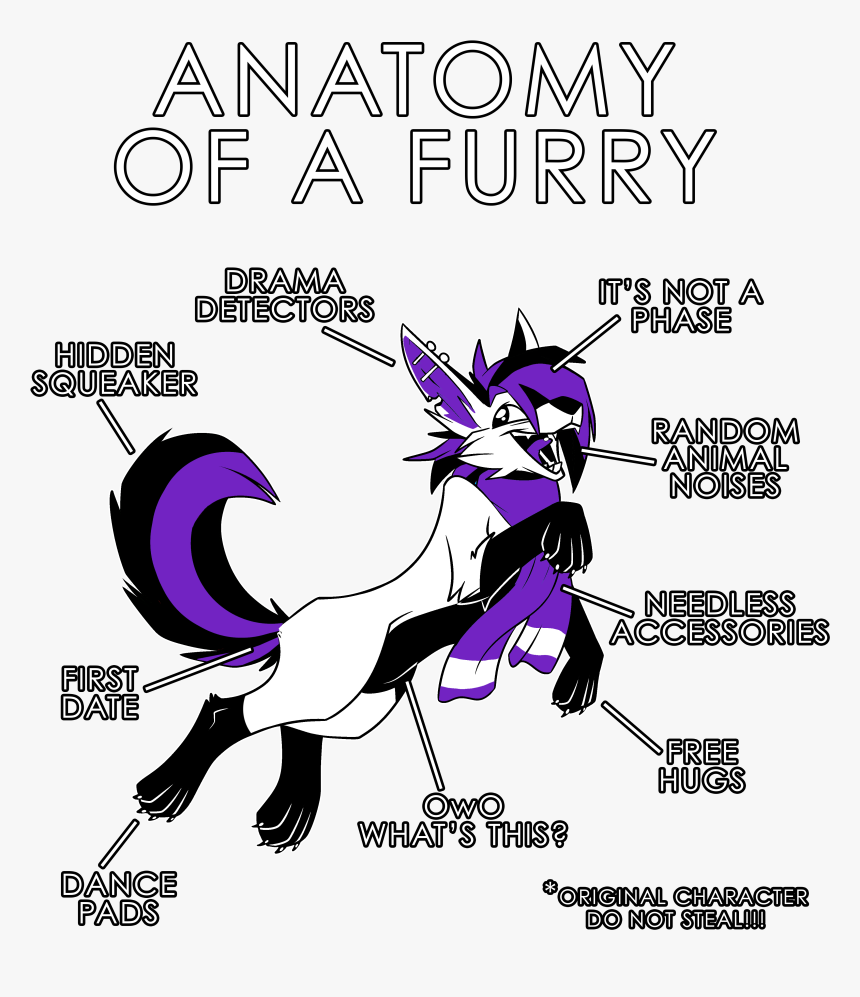 Anatomy Of A Furry, HD Png Download - kindpng