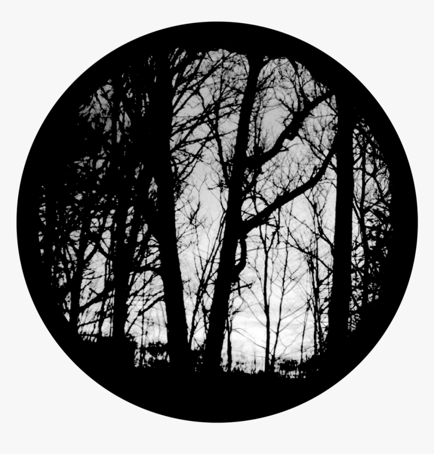 Apollo Eerie Forest - Circle, HD Png Download - kindpng