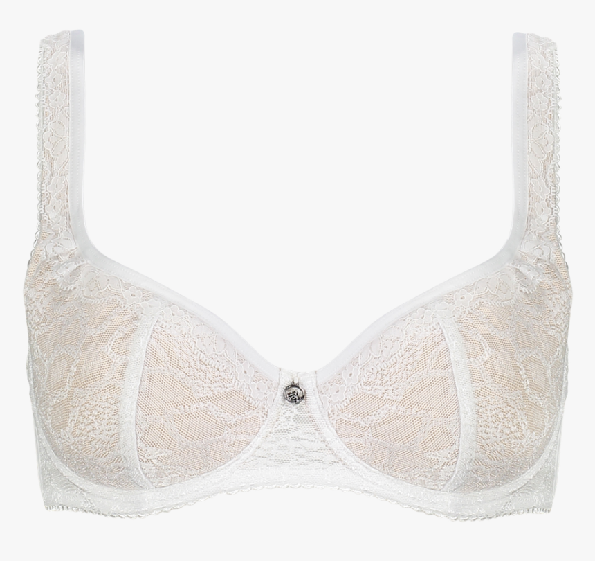 Snakes , Png Download - Brassiere, Transparent Png, Free Download