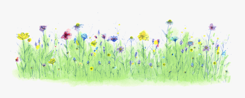 Dandelion , Png Download - Water Color Grass Png, Transparent Png, Free Download