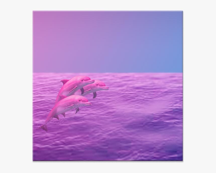Azulejo Dolphin De Renan Oliveirana - Bottlenose Dolphin, HD Png Download, Free Download