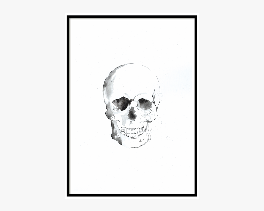 Skull, HD Png Download, Free Download