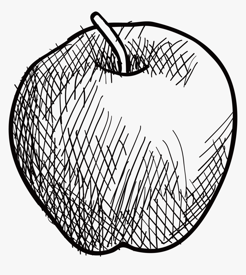 Draw png. Яблоко эскиз. Яблоко Графика. Яблоко набросок. Карандашный набросок яблока.