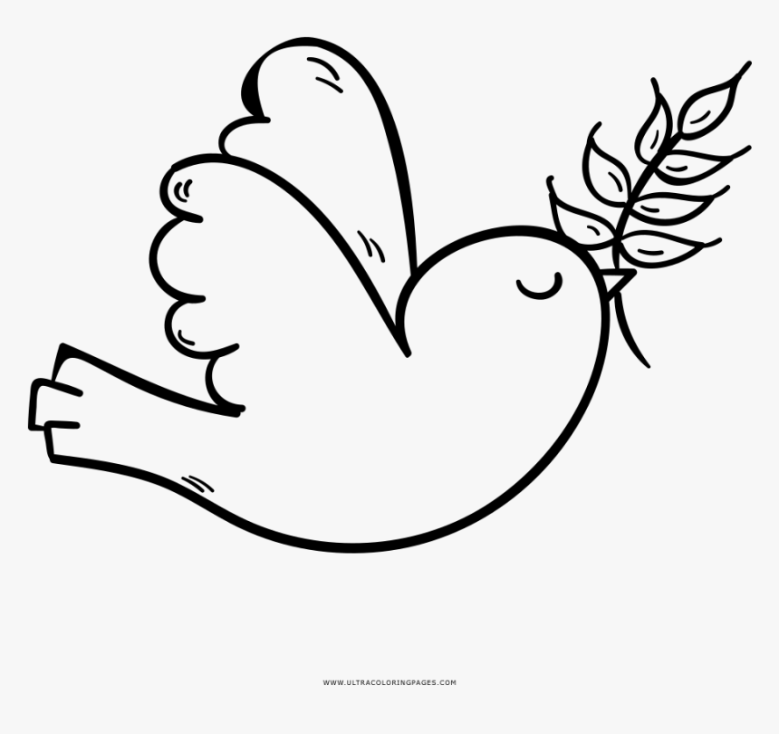 Transparent Pajaro Png - Passaro Desenho Para Colorir, Png Download ...