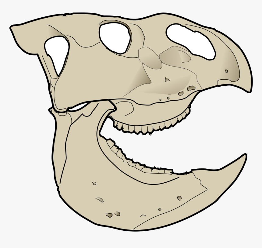 Udanoceratops Fossil, HD Png Download, Free Download