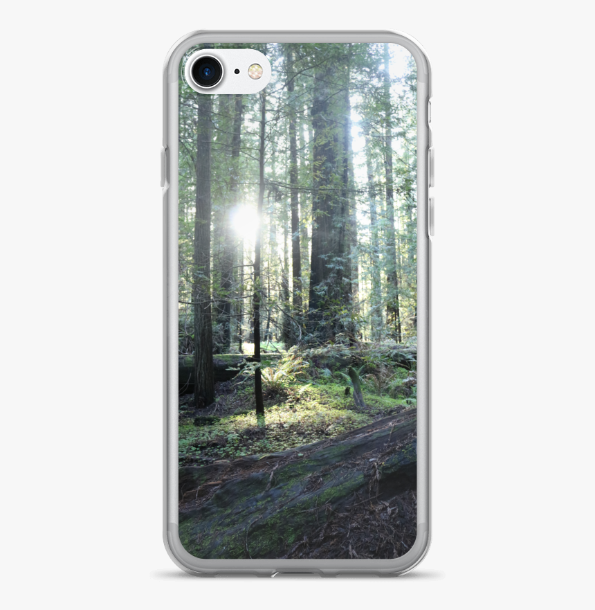 Iphone 7/7 Plus Case Red Wood Forest By Ventcri - Spruce-fir Forest, HD Png Download, Free Download