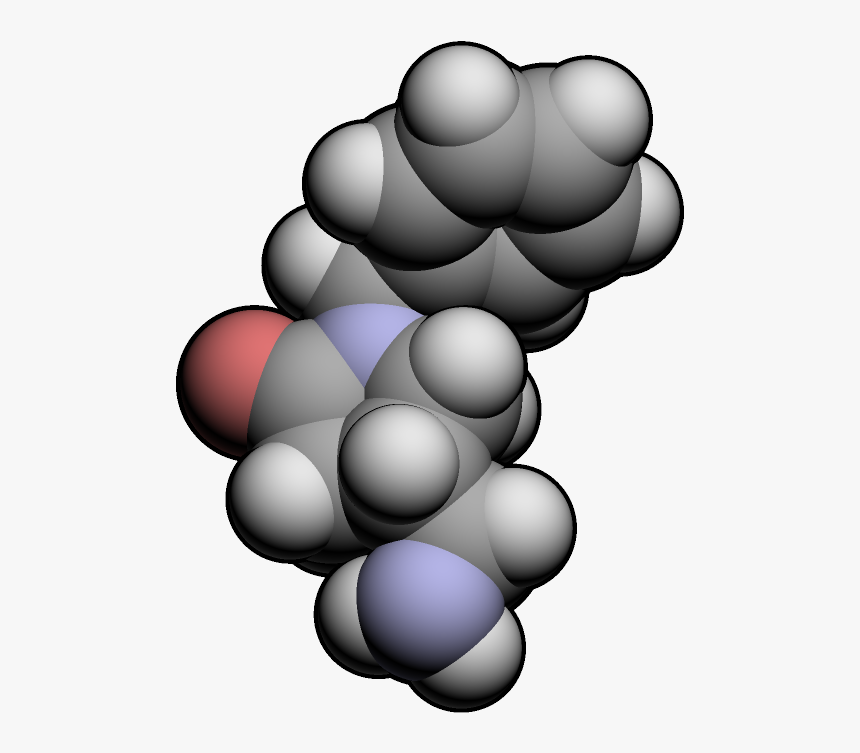 File - Nebracetam3d - Muscarinic Acetylcholine Receptor, HD Png Download, Free Download