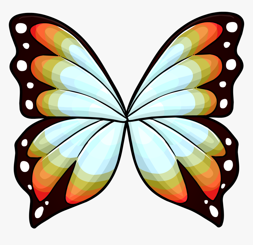 Club Puffle Rewritten Wiki - Wings Of Butterfly Clip Art, HD Png Download, Free Download