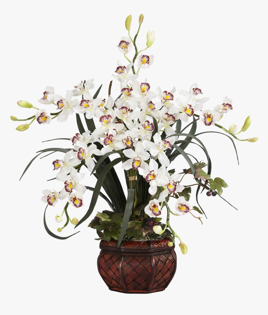 Orchids, HD Png Download, Free Download