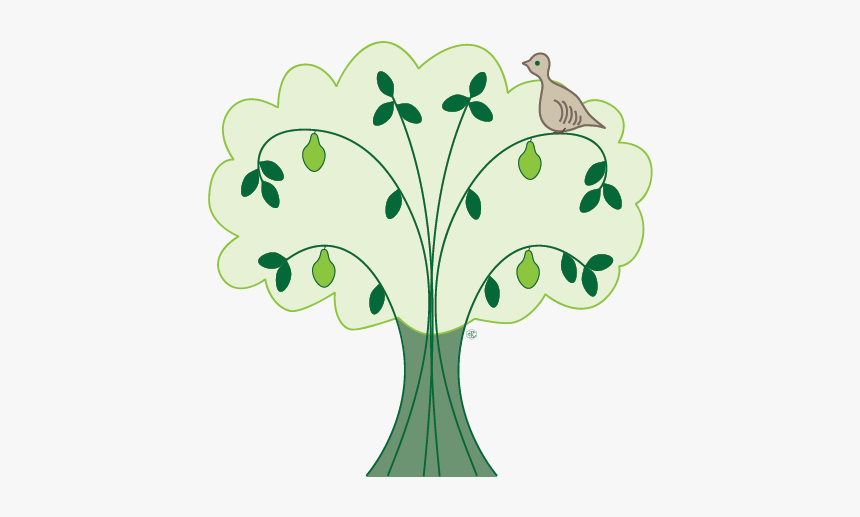 Pear Tree Png, Transparent Png, Free Download