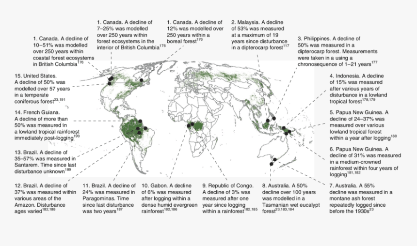 Forest Degradation And Carbon Loss - Atlas, HD Png Download, Free Download