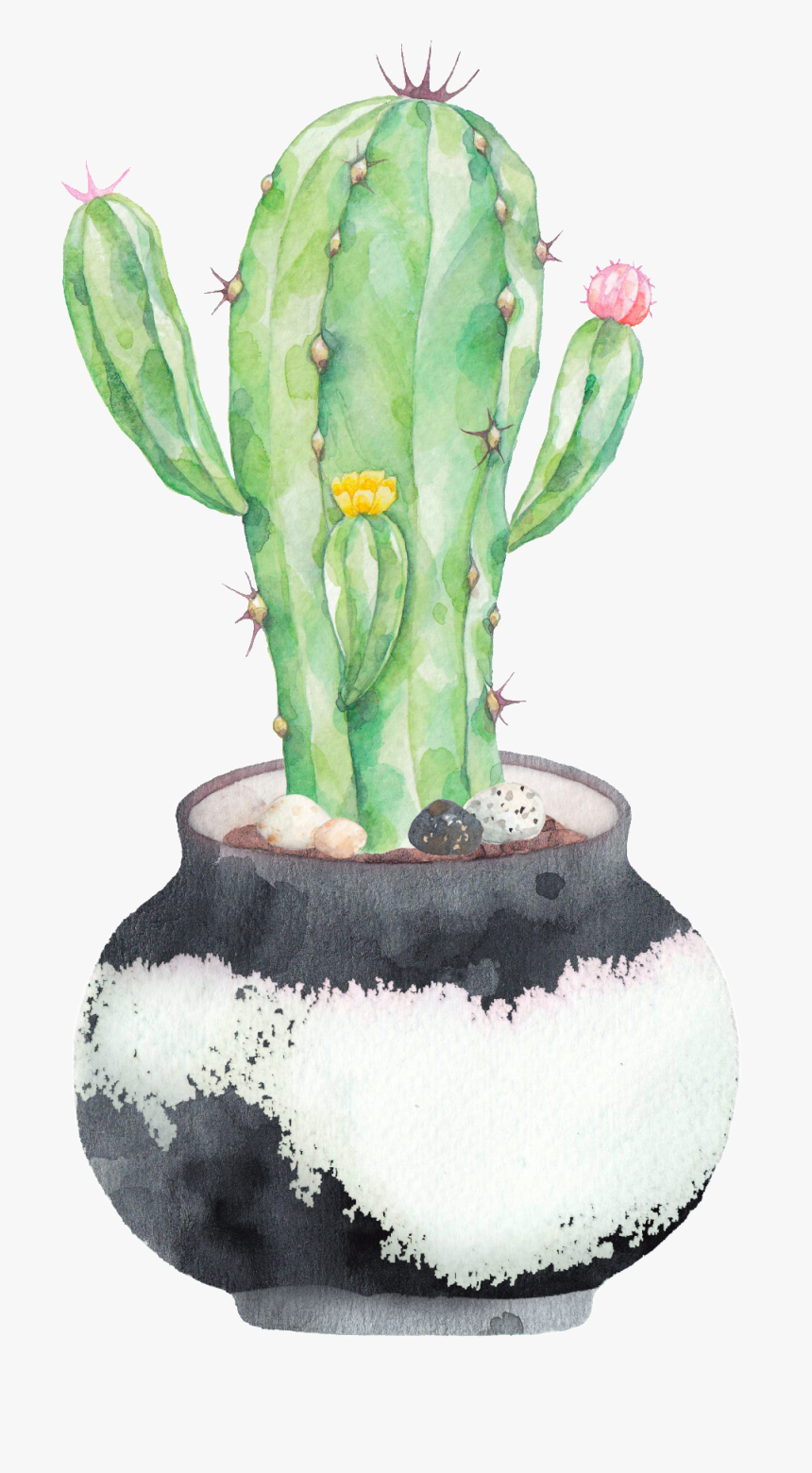 Hand Painted A Plate Of Cactus Png Transparent - Watercolor Cactus Png, Png Download, Free Download