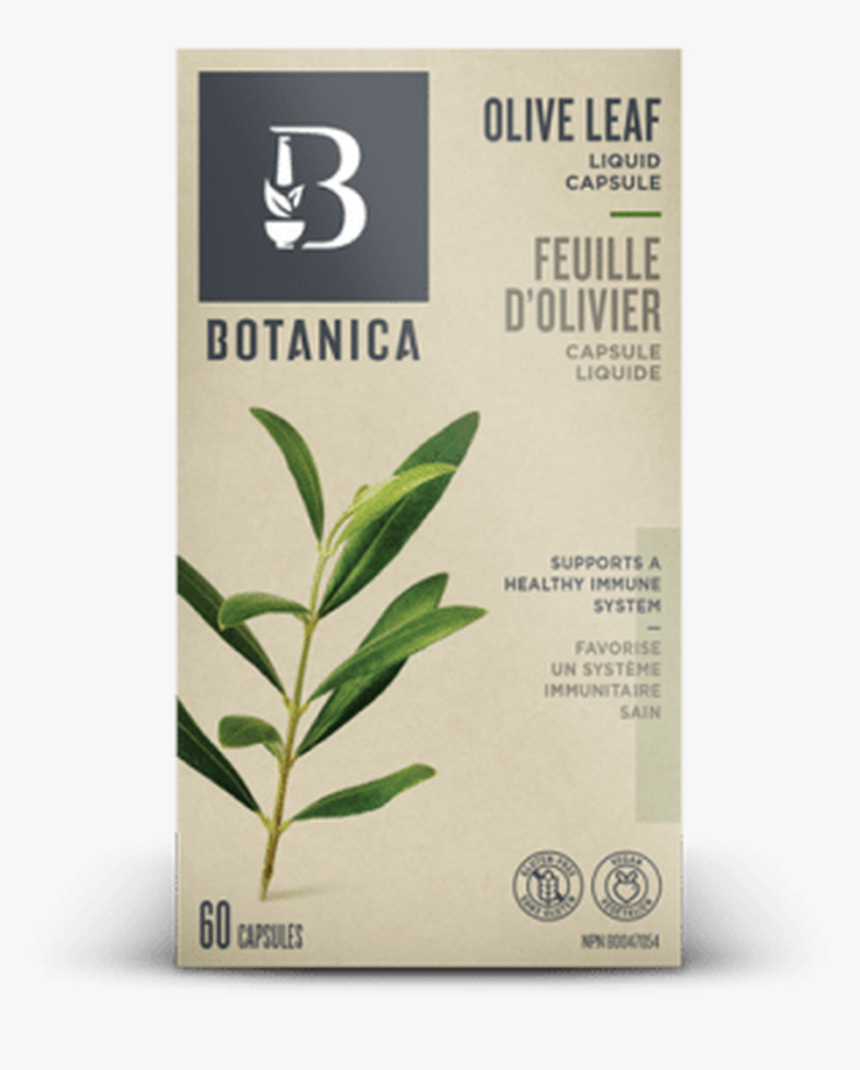 Olive Leaf - Botanica Olive Leaf Complex, HD Png Download, Free Download