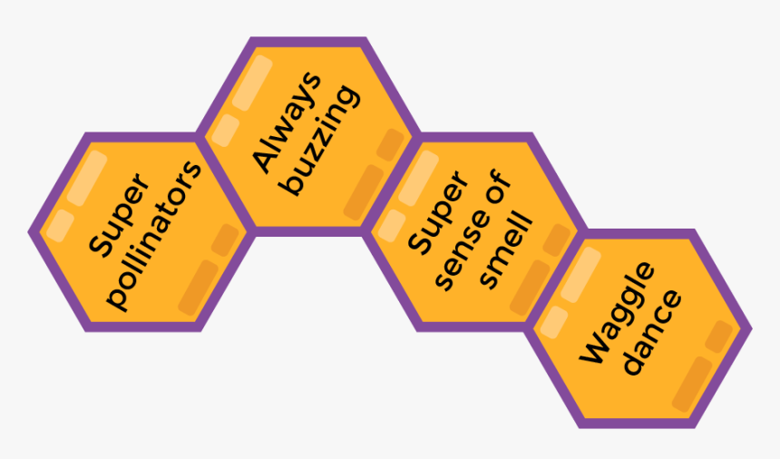 Diagram, HD Png Download, Free Download