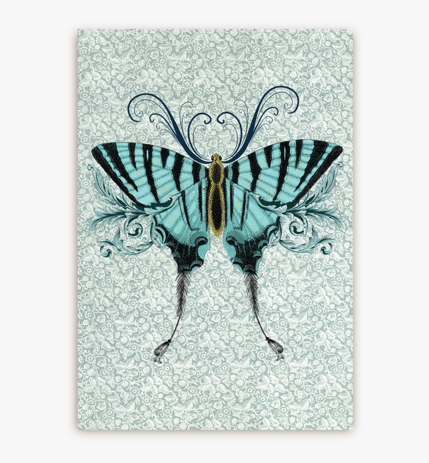 Moth, HD Png Download, Free Download