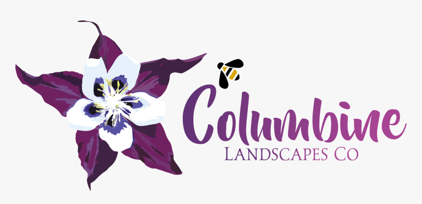 Image - Colorado Blue Columbine, HD Png Download, Free Download