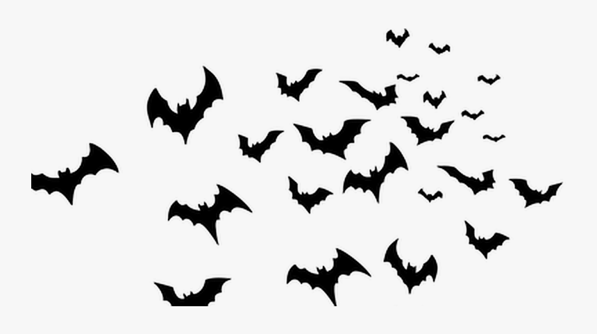 Transparent Background Bats Png, Png Download, Free Download