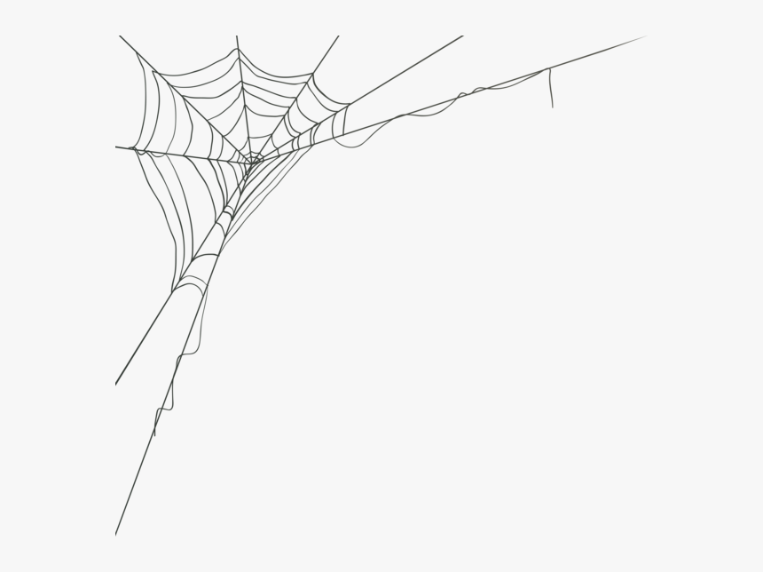 Spider Web Corner Png Clip Art Image - Transparent Background Spider Web Png, Png Download, Free Download